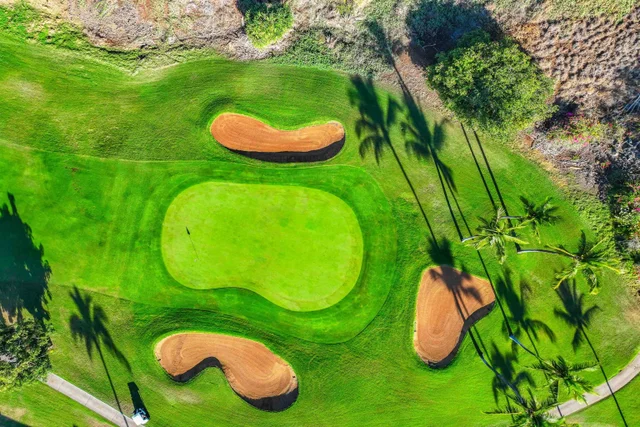 Listing Image for 155 Wailea Ike Pl 65 27 of 37