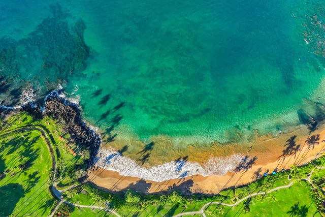 Listing Image for 155 Wailea Ike Pl 65 36 of 37