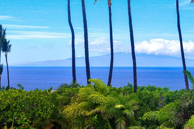 Listing Image for 10 Wailea Ekolu Pl 1705 9 of 39