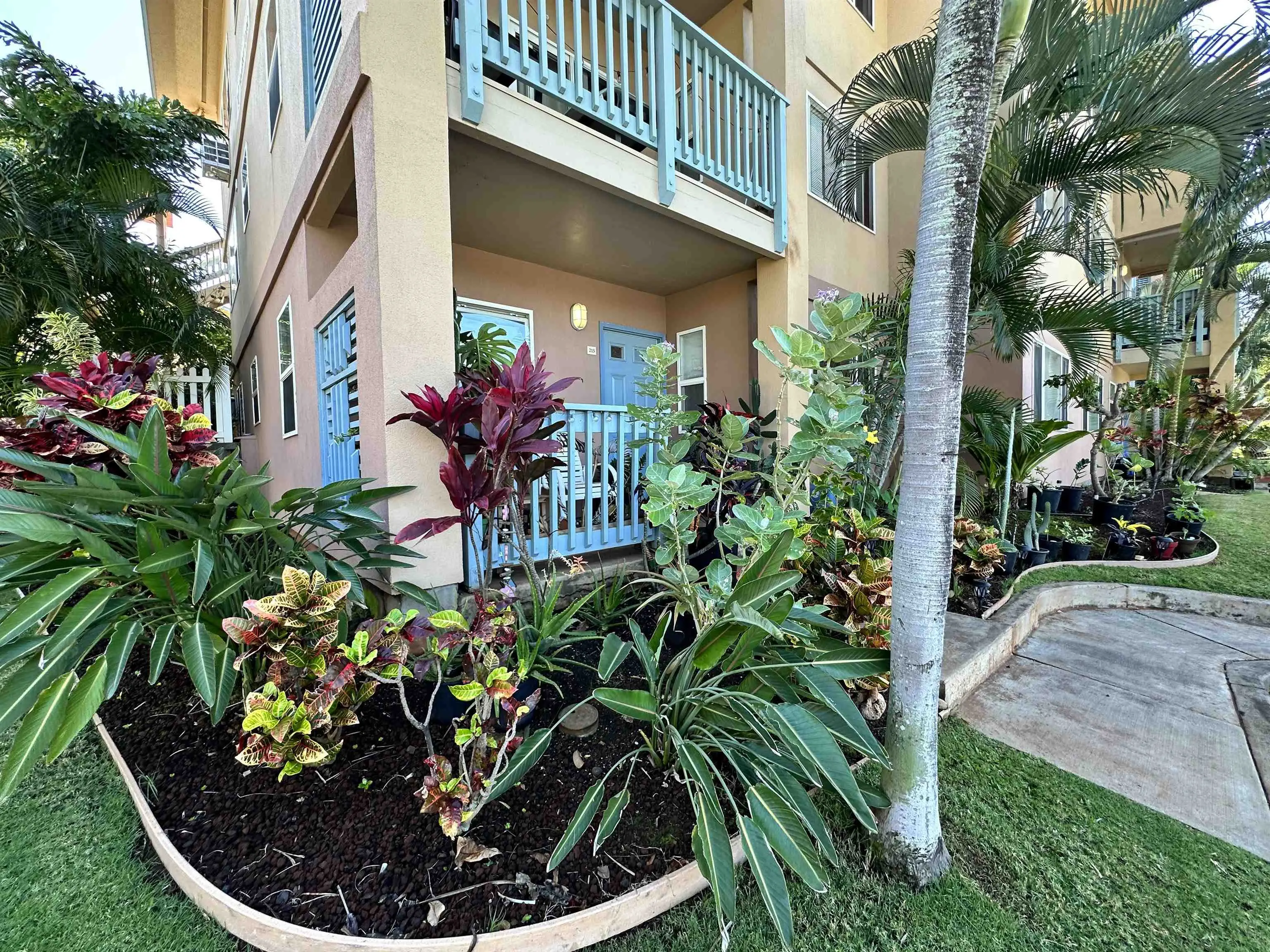 Photo of Listing #401509