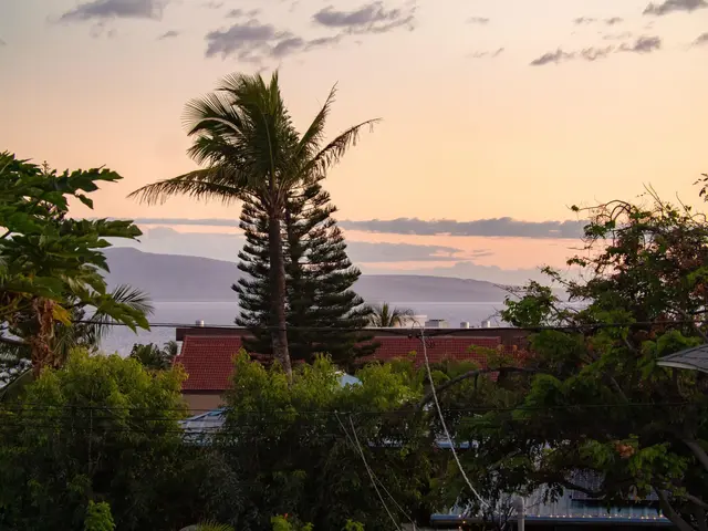 Listing Image for 2185 Haukai Pl 4 of 39