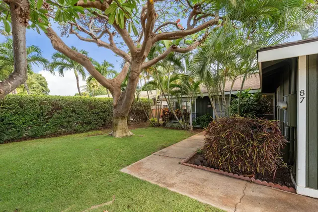 Listing Image for 87 Alena Pl 6 of 49