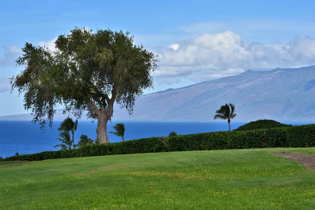 Listing Image for 170 Kualapa Pl 70 2 of 50