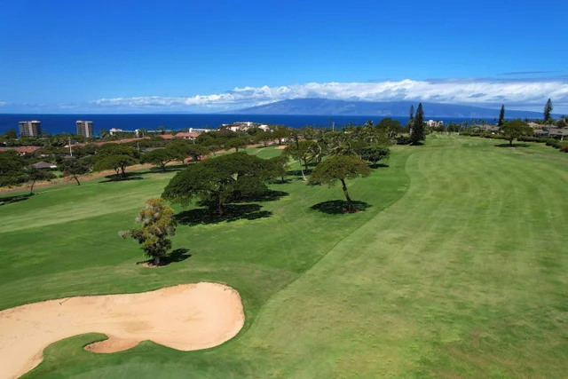 Listing Image for 170 Kualapa Pl 70 40 of 50