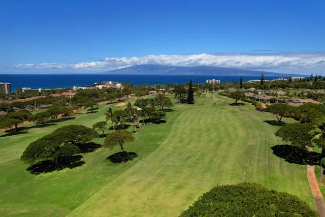 Listing Image for 170 Kualapa Pl 70 41 of 50