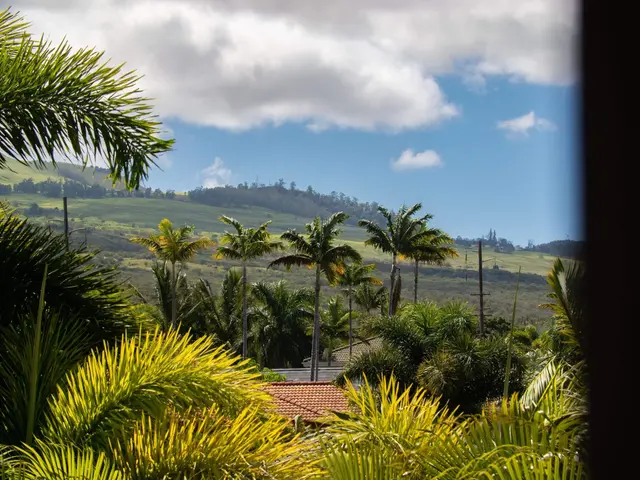Listing Image for 340 Pualoa Nani Pl 9 of 50