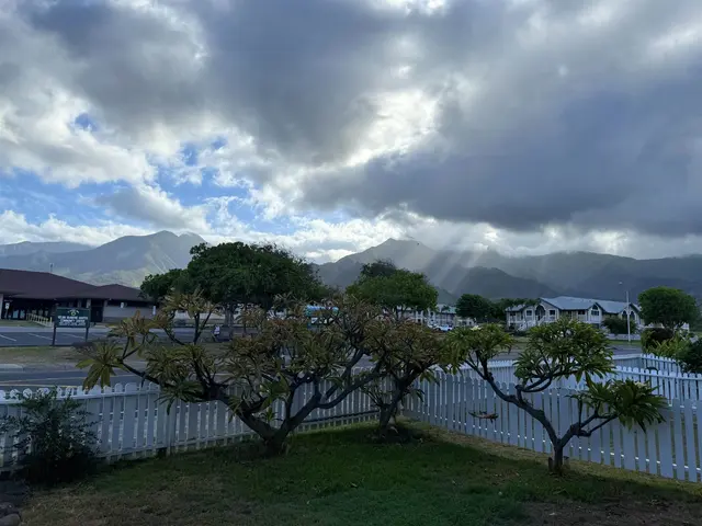 Listing Image for 80 Kapi Ln 13-101 8 of 22