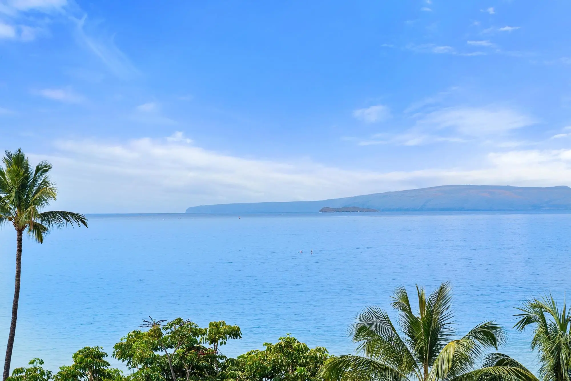 Photo of Listing #409063