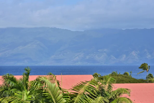 Listing Image for 35 Katie Ln 718 23 of 37