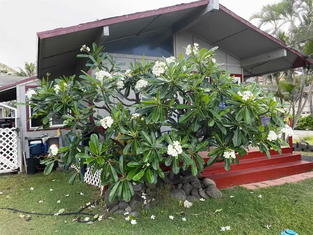 Listing Image for 159 Lower Waiehu Beach Rd 2 of 13