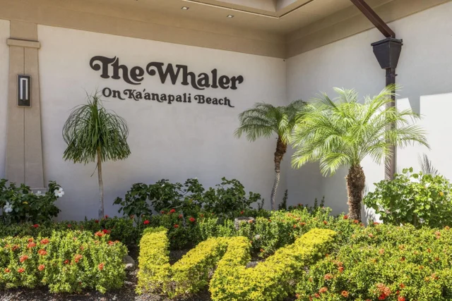 Listing Image for 2481 Kaanapali Pkwy 316 49 of 50