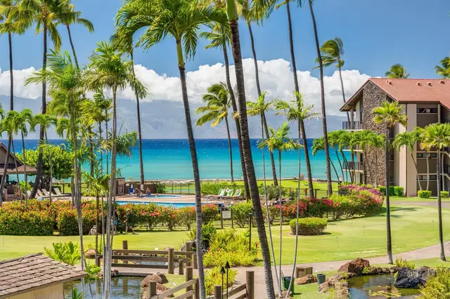 Listing Image for 3543 Lower Honoapiilani Rd Rd D309 1 of 34