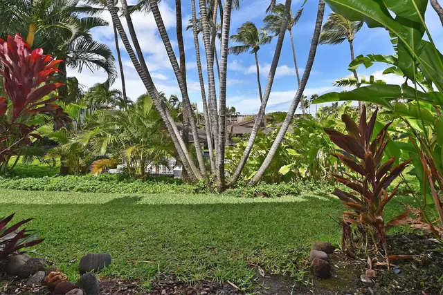 Listing Image for 3788 Lower Honoapiilani Rd E-102 21 of 24