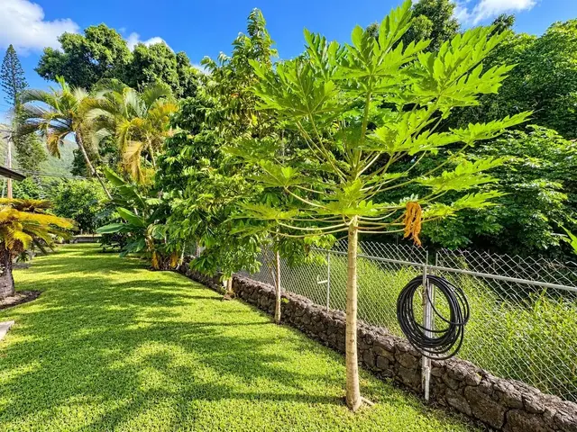 Listing Image for 9046 Kamehameha V Hwy 28 of 28
