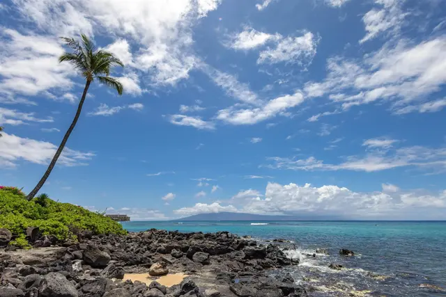 Listing Image for 3959 Lower Honoapiilani Rd 406 16 of 27