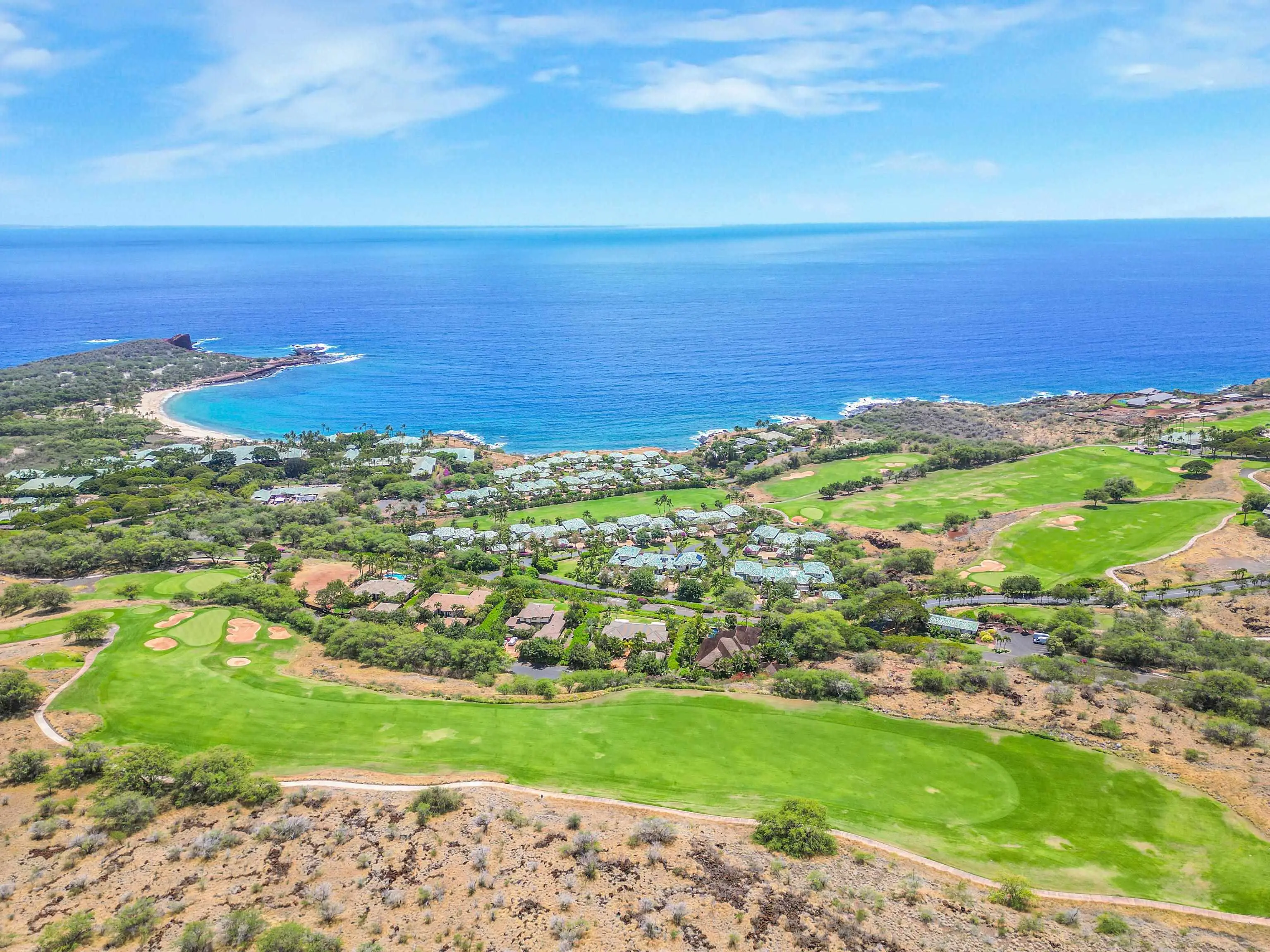 Photo of Listing #405650