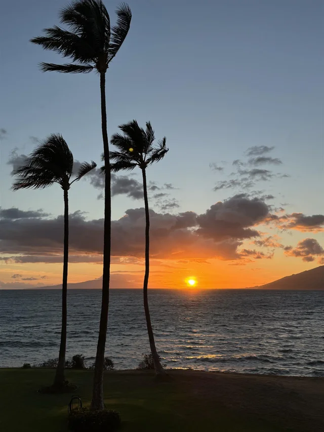 Listing Image for 2430 S Kihei Rd 206 37 of 40