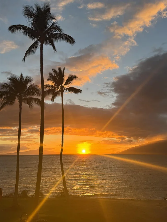 Listing Image for 2430 S Kihei Rd 206 39 of 40