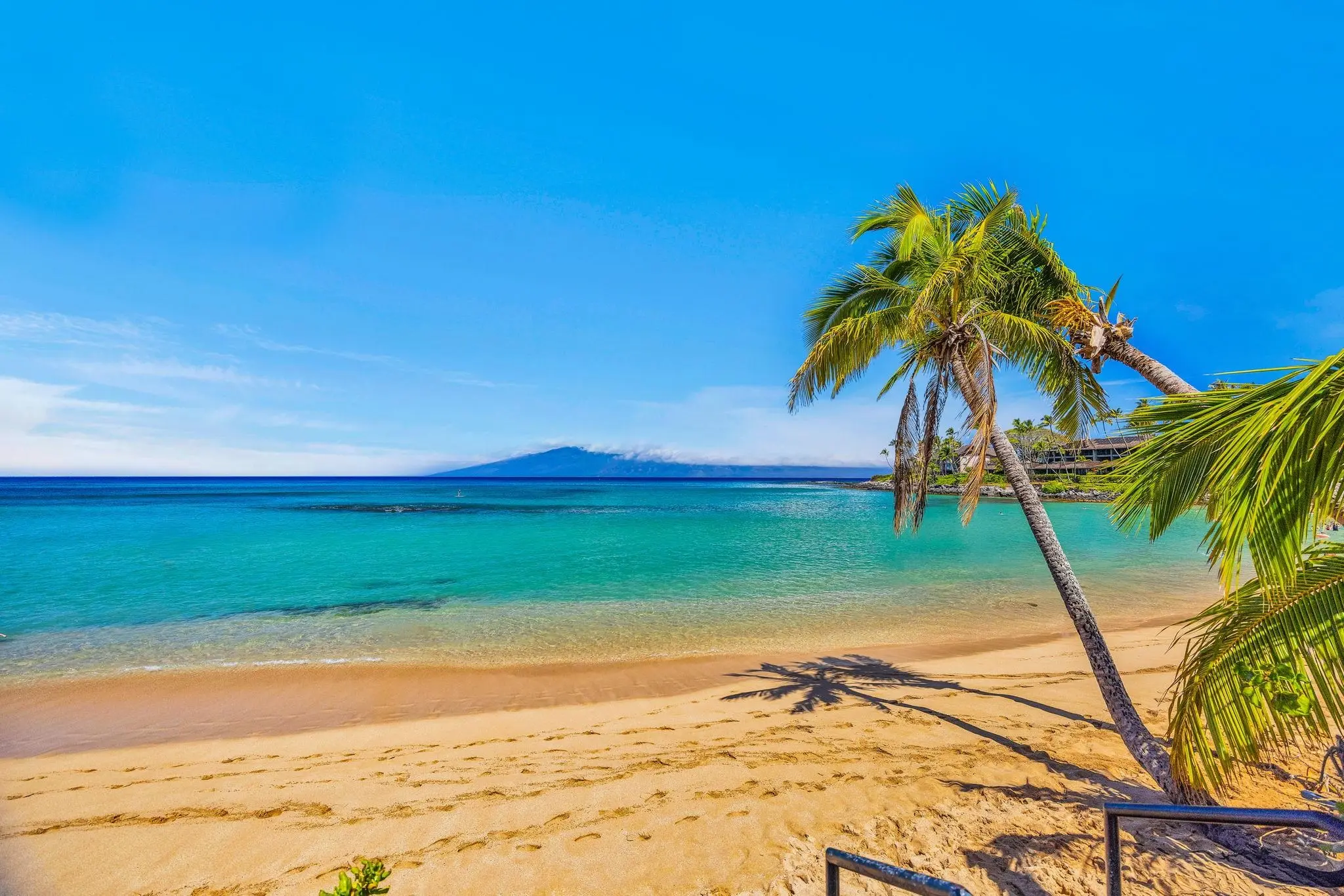 Photo of Listing #409261