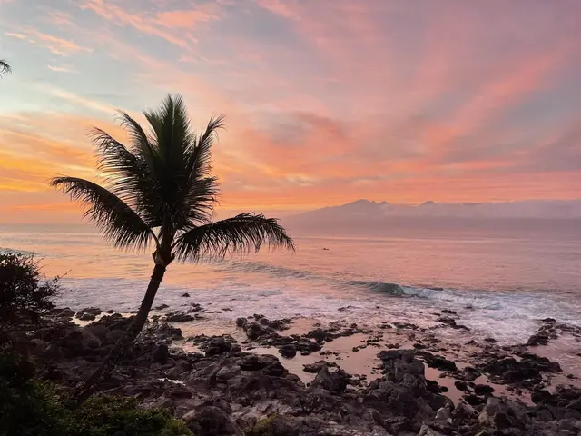 Listing Image for 5295 Lower Honoapiilani Rd C35 11 of 50