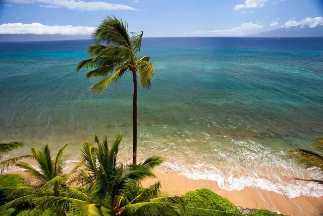 Listing Image for 110 Kaanapali Shores Pl 608 30 of 30