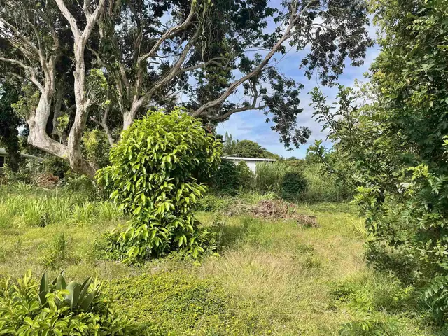 1706 Haiku Rd B, Haiku, 399218 - 2/6