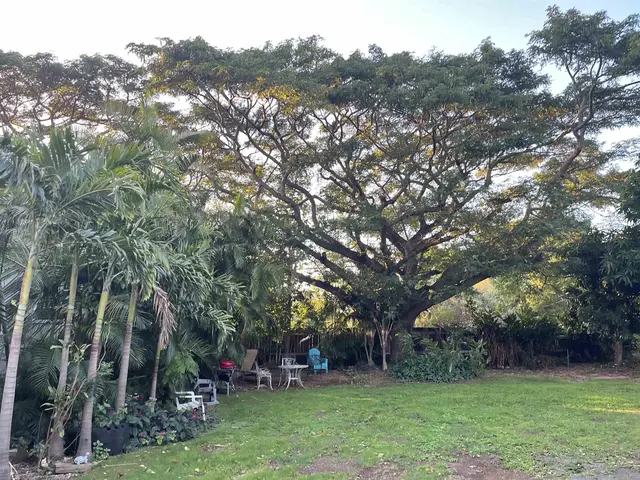 Listing Image for 254 Kapuahi St 48 of 50