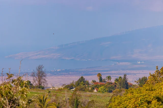 Listing Image for 40 Kapalulu Pl 13 of 45