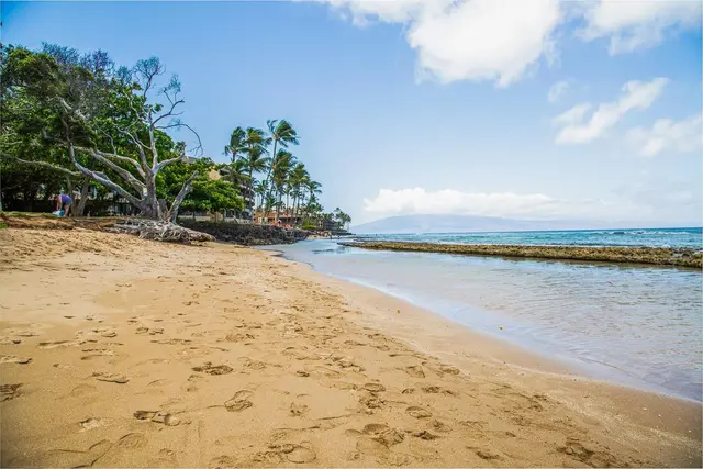 Listing Image for 3676 Lower Honoapiilani Rd D 306 1 of 14