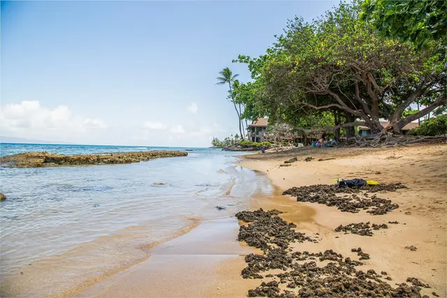 Listing Image for 3676 Lower Honoapiilani Rd D 306 11 of 14