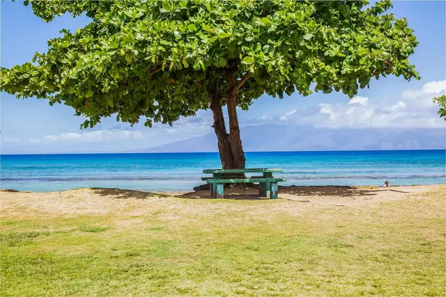 Listing Image for 3676 Lower Honoapiilani Rd D 306 12 of 14