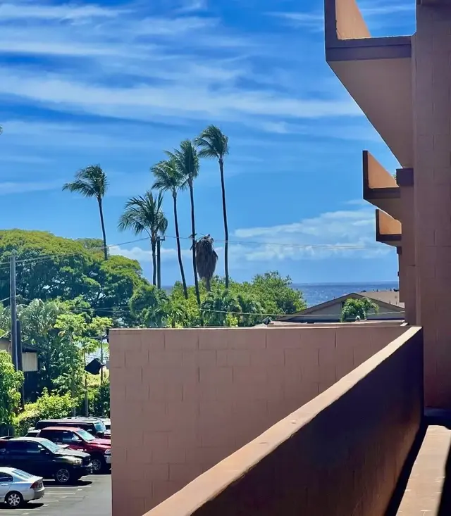 Listing Image for 3676 Lower Honoapiilani Rd D 306 3 of 14