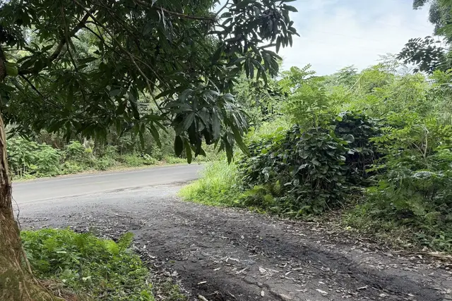 Listing Image for 0 Hana Hwy 2 of 7