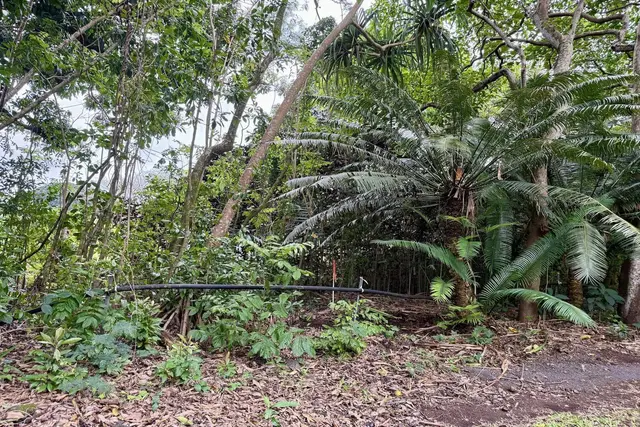 Listing Image for 0 Hana Hwy 3 of 7