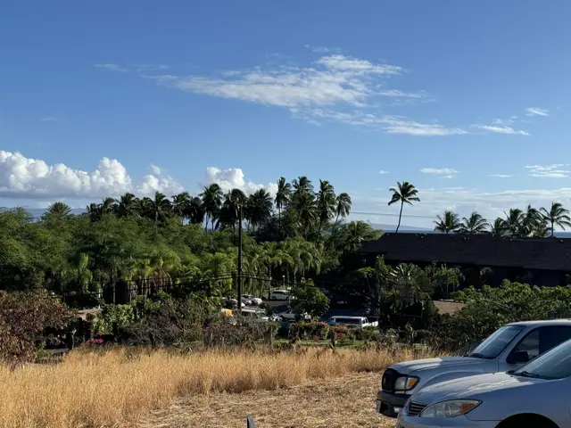 Listing Image for 1005 Kamehameha V Hwy Lot 2 Kamiloloa 4 of 6