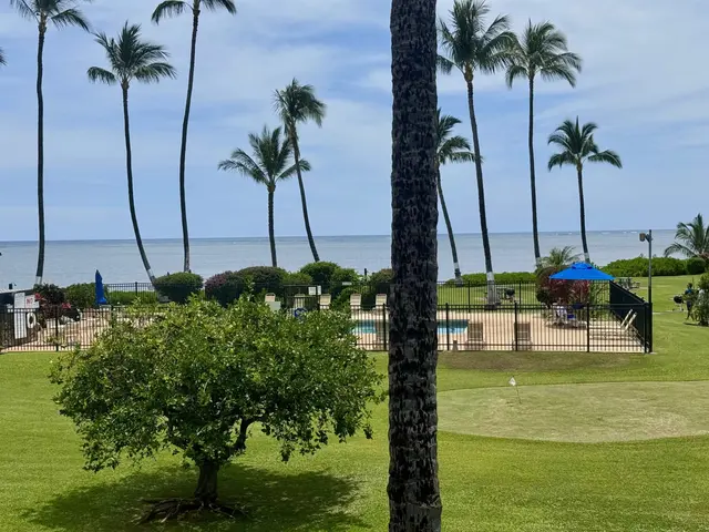 Listing Image for 1000 Kamehameha V Hwy 223b 2 of 30