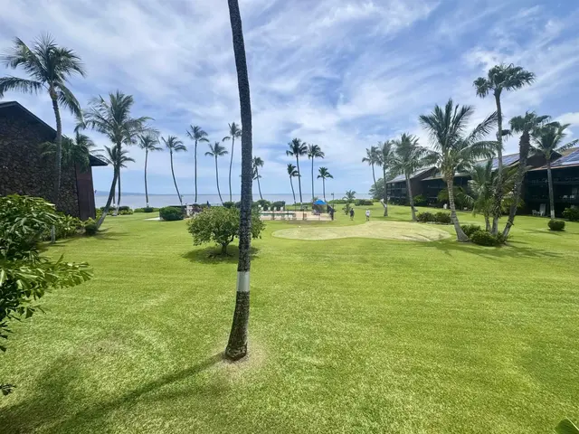 Listing Image for 1000 Kamehameha V Hwy 223b 20 of 30