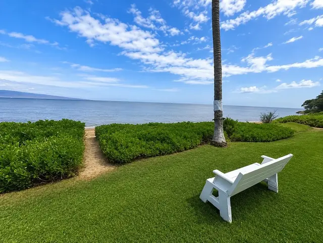 Listing Image for 1000 Kamehameha V Hwy 223b 27 of 30