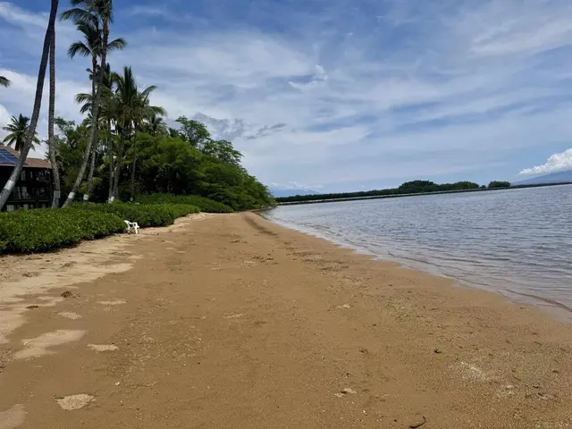 Listing Image for 1000 Kamehameha V Hwy 223b 28 of 30