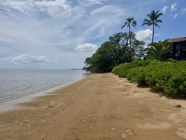 Listing Image for 1000 Kamehameha V Hwy 223b 29 of 30