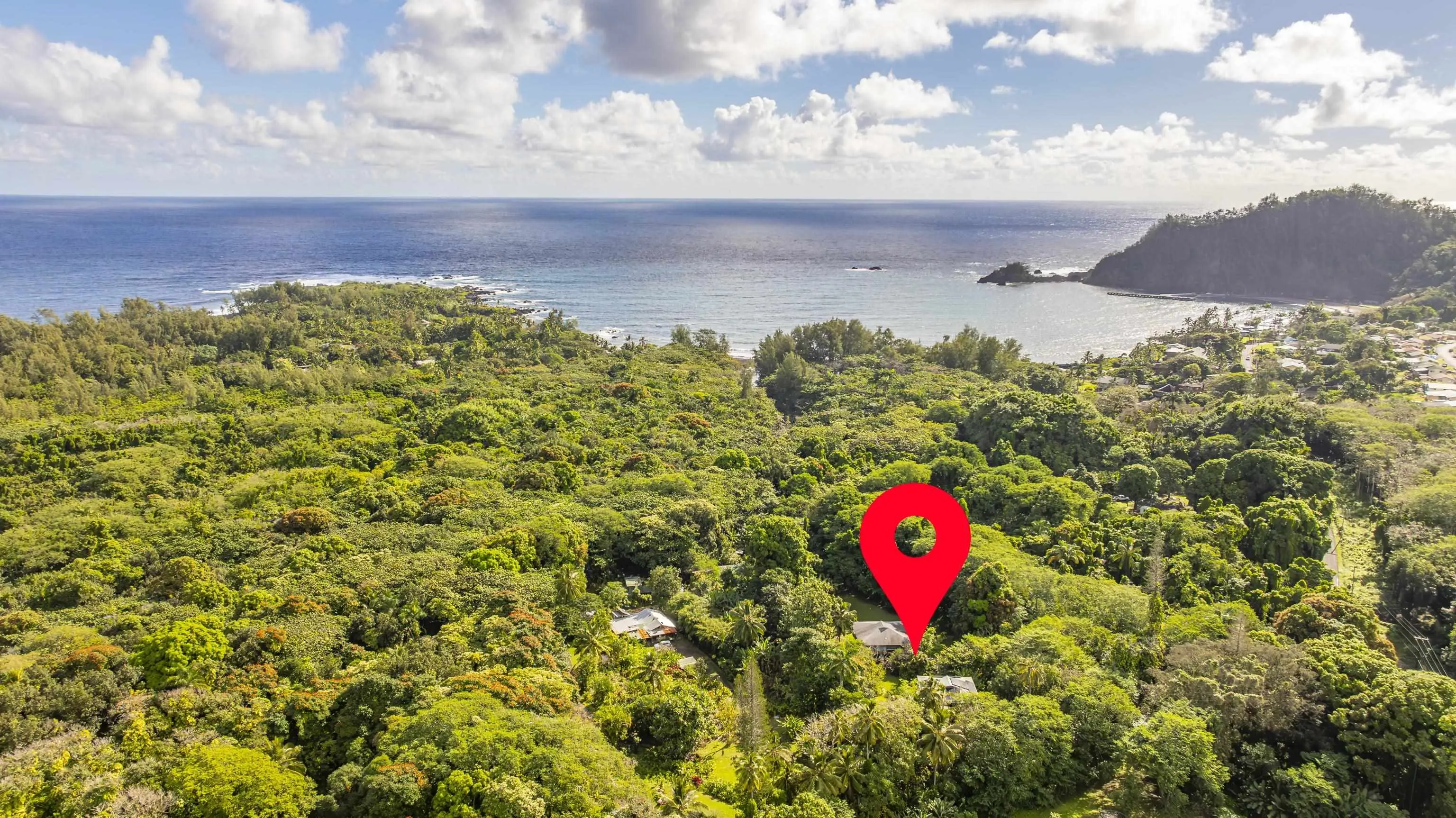 Photo of Listing #408305