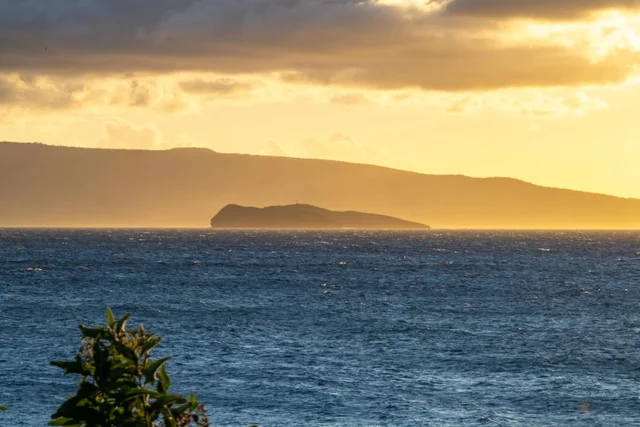 Listing Image for 4584 Makena Rd 25 of 30