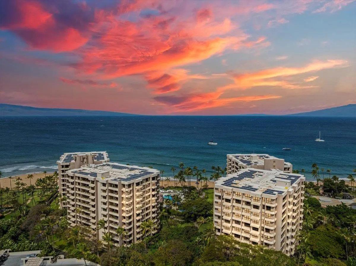 Photo of Listing #409162