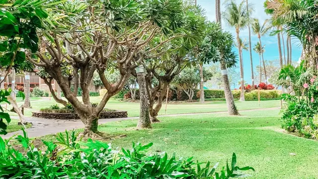 Listing Image for 940 S Kihei Rd B-102 23 of 30