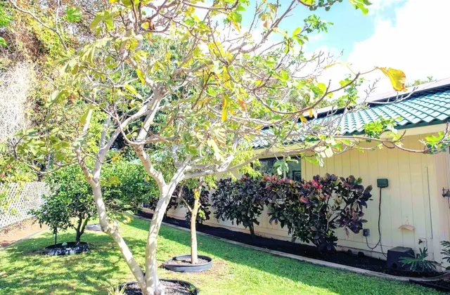 Listing Image for 163 Mehani Cir 11 of 14