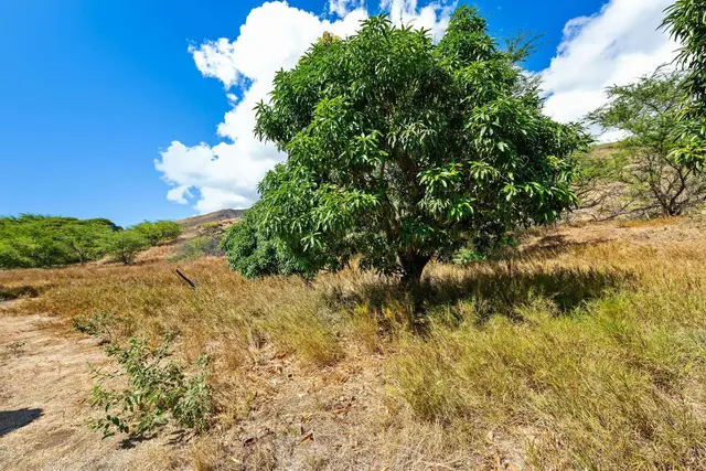 Listing Image for 0 Paekii Pl 45 42 of 49