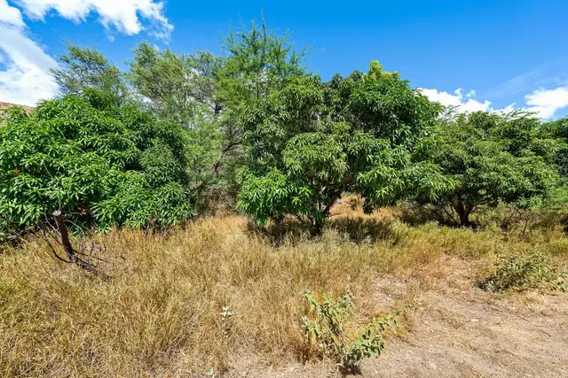 Listing Image for 0 Paekii Pl 45 43 of 48