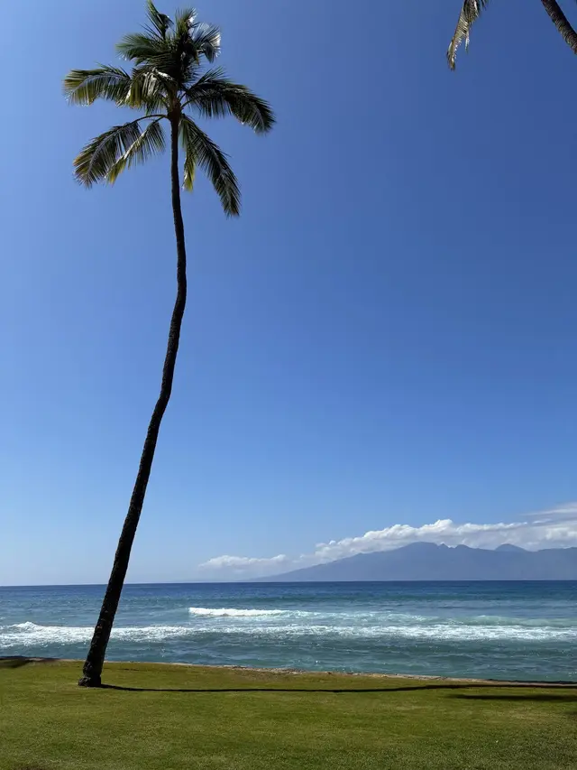 Listing Image for 3543 Lower Honoapiilani Rd F110 9b 2 of 27