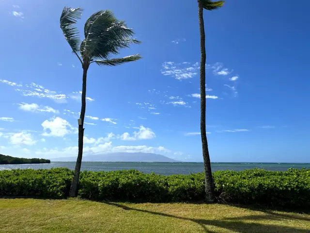 Listing Image for 7146 Kamehameha V Hwy A-109 20 of 21
