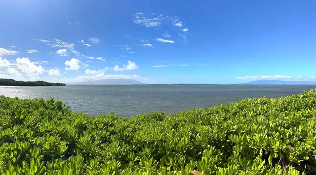 Listing Image for 7146 Kamehameha V Hwy A-109 21 of 21